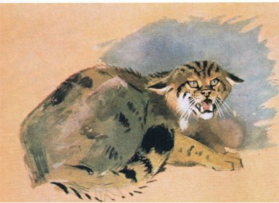 Wildcat by Archibald Thorburn